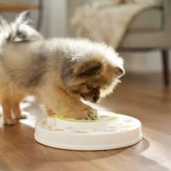 Frisco Tiered Cake Interactive Puzzle Dog Toy, Easy -The Pet Haven Shop 506346 PT5. AC SS1800 V1674666566