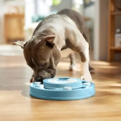 Frisco Two Tier Interactive Puzzle Dog Toy, Easy -The Pet Haven Shop 506370 PT5. AC SS1800 V1674671566