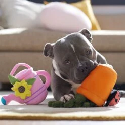 Frisco Spring Potted Plant And Watering Can Plush Squeaky Dog Toy 10 Frisco Spring Potted Plant And Watering Can Plush Squeaky Dog Toy -The Pet Haven Shop 541494 PT4. AC SS1800 V1702500565