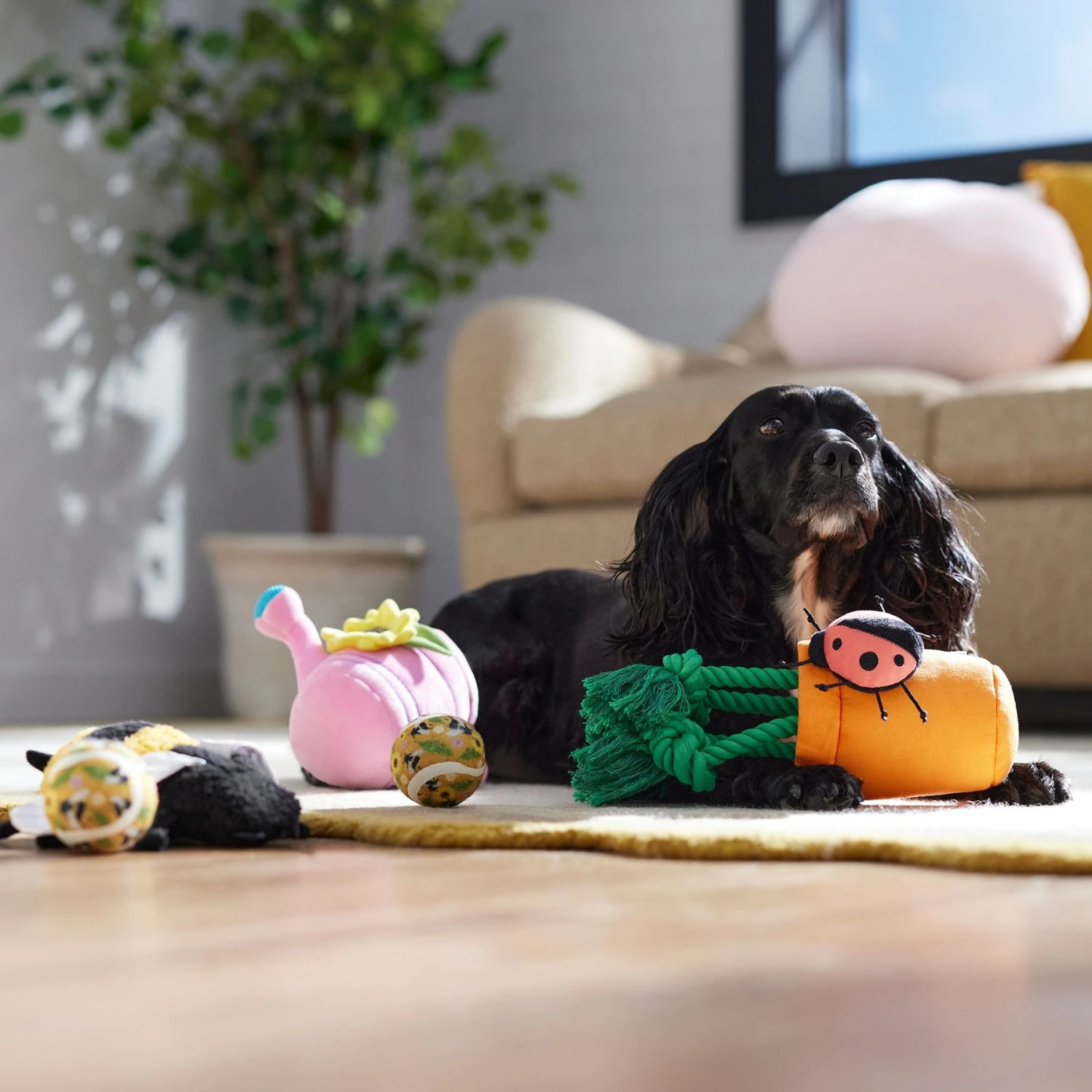 Frisco Spring Plush & Rope Variety Pack Squeaky Dog Toy 6 Frisco Spring Plush & Rope Variety Pack Squeaky Dog Toy - Image 4