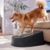 Frisco Plastic Easy Step Cat & Dog Stair -The Pet Haven Shop 542390 MAIN. AC SS1800 V1671829661