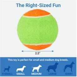 Frisco Dumbbell TPR Fetch Dog Toy + 3 Items 16 Frisco Dumbbell TPR Fetch Dog Toy + 3 Items -The Pet Haven Shop 582446 PT6. AC SS1800 V1658238980