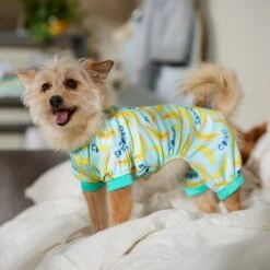 Frisco Go Bananas Dog & Cat Jersey PJs 12 Frisco Go Bananas Dog & Cat Jersey PJs -The Pet Haven Shop 608998 PT6. AC SS1800 V1676642341