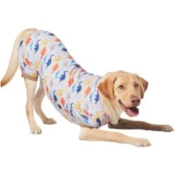 Frisco Dinosaur Dog & Cat Jersey PJs 10 Frisco Dinosaur Dog & Cat Jersey PJs -The Pet Haven Shop 609062 PT4. AC SS1800 V1681488688