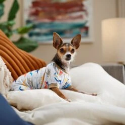 Frisco Dinosaur Dog & Cat Jersey PJs 12 Frisco Dinosaur Dog & Cat Jersey PJs -The Pet Haven Shop 609062 PT6. AC SS1800 V1676643314