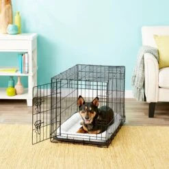 Frisco Fold & Carry Single Door Collapsible Wire Dog Crate + 4 Items -The Pet Haven Shop 623718 PT1. AC SS1800 V1662738090