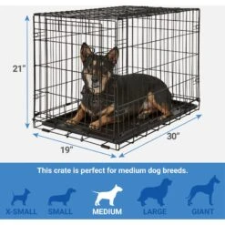 Frisco Fold & Carry Single Door Collapsible Wire Dog Crate + 4 Items -The Pet Haven Shop 623718 PT2. AC SS1800 V1662739258