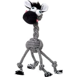 Frisco Fold & Carry Single Door Collapsible Wire Dog Crate + 4 Items -The Pet Haven Shop 623718 PT7. AC SS1800 V1662734896