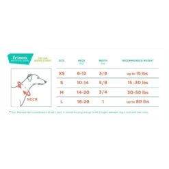 Frisco Orthopedic Pillow Cat & Dog Bed + 4 Items -The Pet Haven Shop 623758 PT6. AC SS1800 V1662741598