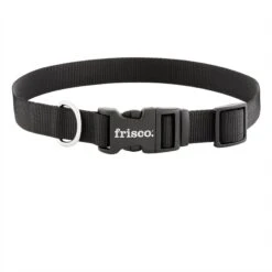 Frisco Solid Nylon Dog Leash + 4 Items 16 Frisco Solid Nylon Dog Leash + 4 Items -The Pet Haven Shop 623766 PT5. AC SS1800 V1662735841