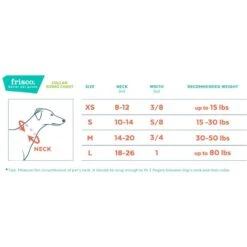 Frisco Solid Nylon Dog Leash + 4 Items 17 Frisco Solid Nylon Dog Leash + 4 Items -The Pet Haven Shop 623766 PT6. AC SS1800 V1662739135