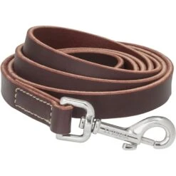 Frisco Top Grain Leather Leash + 4 Items 14 Frisco Top Grain Leather Leash + 4 Items -The Pet Haven Shop 630958 PT3. AC SS1800 V1662739527