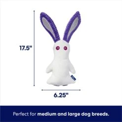 Frisco Halloween Bunny Ghost Plush Squeaky Dog Toy -The Pet Haven Shop 667878 PT1. AC SS1800 V1689271353