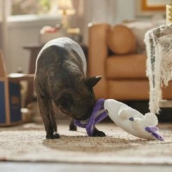 Frisco Halloween Bunny Ghost Plush Squeaky Dog Toy -The Pet Haven Shop 667878 PT3. AC SS1800 V1689340856