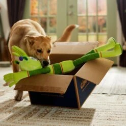 Frisco Halloween Alien Wagazoo Plush Squeaky Dog Toy, Extra Long -The Pet Haven Shop 668134 PT3. AC SS1800 V1689282428