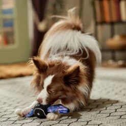 Frisco Halloween Bat Fetch Squeaky Tennis Ball Dog Toy -The Pet Haven Shop 668278 PT3. AC SS1800 V1689350166