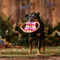 Frisco Halloween Ghost Swirl Fetch Flyer Dog Toy -The Pet Haven Shop 668294 PT3. AC SS1800 V1689278363