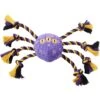 Frisco Halloween Magical Spider Plush With Rope Squeaky Dog Toy -The Pet Haven Shop 668310 MAIN. AC SS1800 V1689350982