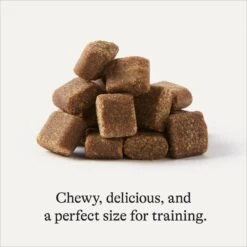 Frisco Giant Charcoal Dog Training & Potty Pads & American Journey Beef Recipe Grain-Free Soft & Chewy Training Bits Dog Treats -The Pet Haven Shop 678566 PT7. AC SS1800 V1681825758
