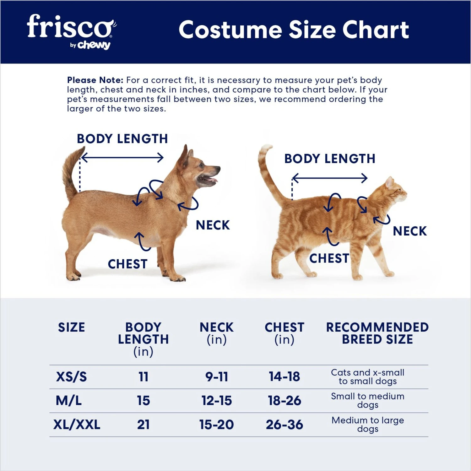 Frisco Clown Dog & Cat Costume Accessory 4 Frisco Clown Dog & Cat Costume Accessory - Image 2
