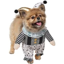 Frisco Front Walking Glitter Clown Dog & Cat Costume -The Pet Haven Shop 707542 PT3. AC SS1800 V1689278296