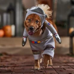 Frisco Front Walking LED Astronaut Dog & Cat Costume -The Pet Haven Shop 707630 PT7. AC SS1800 V1689278700