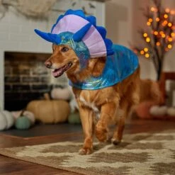 Frisco Dinosaur Dog & Cat Costume -The Pet Haven Shop 707894 PT7. AC SS1800 V1689350593