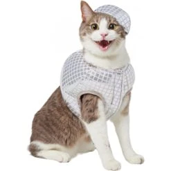 Frisco Disco Ball Dog & Cat Costume 12 Frisco Disco Ball Dog & Cat Costume -The Pet Haven Shop 707934 PT2. AC SS1800 V1689283755