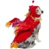Frisco Flying Phoenix Dog & Cat Costume -The Pet Haven Shop 708150 MAIN. AC SS1800 V1691084858