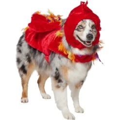 Frisco Flying Phoenix Dog & Cat Costume 12 Frisco Flying Phoenix Dog & Cat Costume -The Pet Haven Shop 708150 PT3. AC SS1800 V1691084928