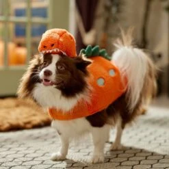 Frisco Furry Dinosaur Dog & Cat Costume 16 Frisco Furry Dinosaur Dog & Cat Costume -The Pet Haven Shop 708190 PT7. AC SS1800 V1689278373