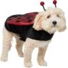 Frisco Glittered Ladybug Dog & Cat Costume -The Pet Haven Shop 708254 MAIN. AC SS1800 V1689277785