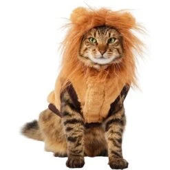 Frisco Lion Love Dog & Cat Costume -The Pet Haven Shop 708318 PT2. AC SS1800 V1689341486