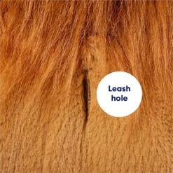 Frisco Lion Love Dog & Cat Costume -The Pet Haven Shop 708318 PT6. AC SS1800 V1689351045