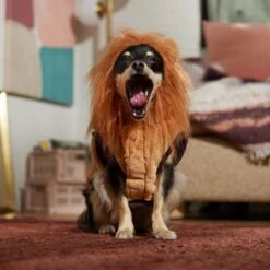 Frisco Lion Love Dog & Cat Costume -The Pet Haven Shop 708318 PT7. AC SS1800 V1689350649