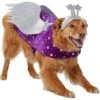 Frisco Shooting Stars Dog & Cat Costume 2 Frisco Shooting Stars Dog & Cat Costume -The Pet Haven Shop 708614 MAIN. AC SS1800 V1689340940