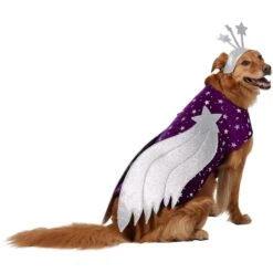 Frisco Shooting Stars Dog & Cat Costume 12 Frisco Shooting Stars Dog & Cat Costume -The Pet Haven Shop 708614 PT3. AC SS1800 V1689351703