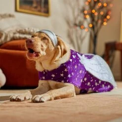 Frisco Shooting Stars Dog & Cat Costume 16 Frisco Shooting Stars Dog & Cat Costume -The Pet Haven Shop 708614 PT7. AC SS1800 V1689278699