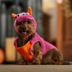 Frisco Zany Monster Dog & Cat Costume -The Pet Haven Shop 708710 PT7. AC SS1800 V1689282434