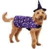 Frisco Cosmic Witch Dog & Cat Costume 1 Frisco Cosmic Witch Dog & Cat Costume -The Pet Haven Shop 708982 MAIN. AC SS1800 V1689282565