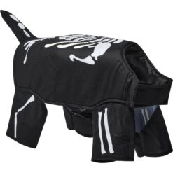 Frisco Glow In The Dark Skeleton Dog & Cat Costume -The Pet Haven Shop 709038 PT3. AC SS1800 V1689351051