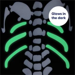Frisco Glow In The Dark Skeleton Dog & Cat Costume -The Pet Haven Shop 709038 PT5. AC SS1800 V1689340910