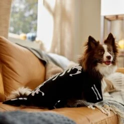 Frisco Glow In The Dark Skeleton Dog & Cat Costume -The Pet Haven Shop 709038 PT7. AC SS1800 V1689350988