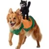 Frisco Pumpkin Cat Ride-On Dog & Cat Costume 1 Frisco Pumpkin Cat Ride-On Dog & Cat Costume -The Pet Haven Shop 709294 MAIN. AC SS1800 V1689270833