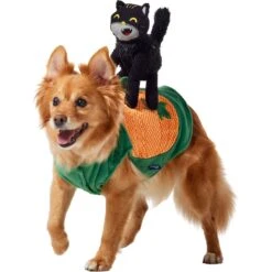 Frisco Pumpkin Cat Ride-On Dog & Cat Costume