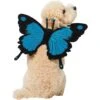 Frisco Magical Butterfly Wings Dog & Cat Costume Accessory -The Pet Haven Shop 713062 MAIN. AC SS1800 V1689271325