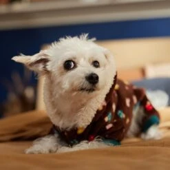 Frisco Cozy Plush Fleece Dog & Cat PJs, Mushrooms -The Pet Haven Shop 718950 PT7. AC SS1800 V1692378098