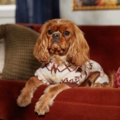 Frisco Fairisle Cozy Plush Fleece Dog & Cat PJs, Cream -The Pet Haven Shop 719006 PT7. AC SS1800 V1692376367