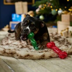 Frisco Holiday Naughty & Nice TPR Bone Squeaky Dog Toy -The Pet Haven Shop 739702 PT3. AC SS1800 V1694812786