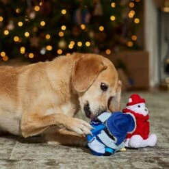 Frisco Holiday Arctic Buddies 2-in-1 Rip For Surprise Plush & Rubber Dog Toy -The Pet Haven Shop 739718 PT3. AC SS1800 V1694812848